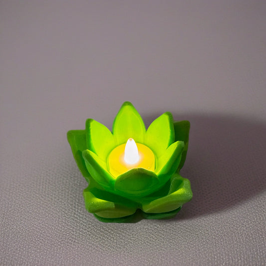 Mehikasvi tuikkukippo