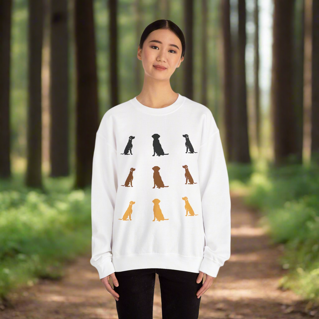 Labradorinnoutaja värisuora svetari